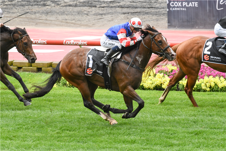 SEJARDAN winning the Sharp Extensive IT Red Anchor Stakes at Moonee Valley in Australia.
