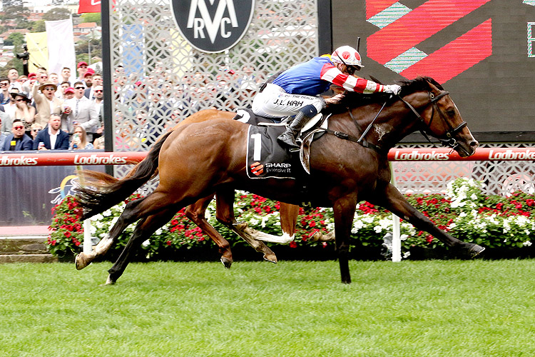 SEJARDAN winning the Sharp Extensive IT Red Anchor Stakes