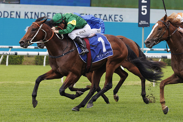 SEMILLION winning the Widden Kindergarten Stks