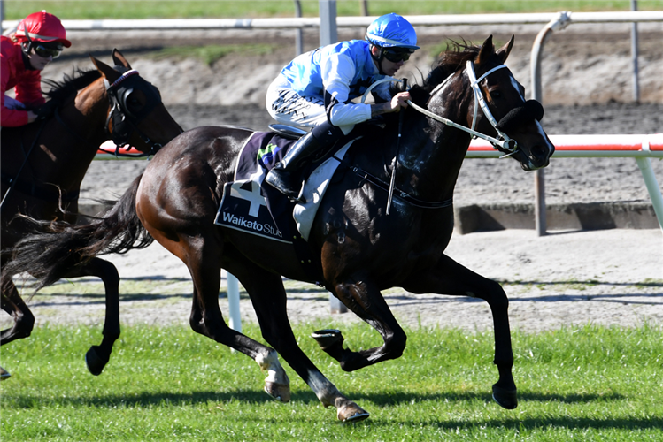 SENOR UNO winning the Fairview Motors Matamata Mdn