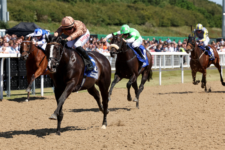 SENSE OF DUTY winning the Pertemps Network Chipchase Stakes (Group 3)