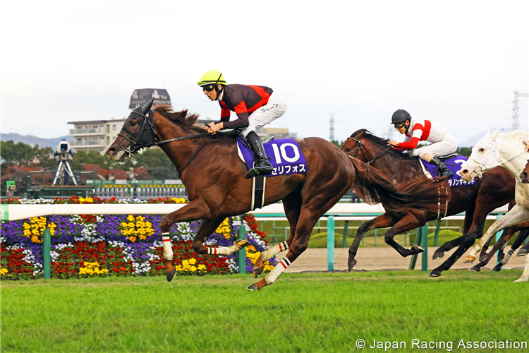 SERIFOS winning the Mile Championship at Hanshin in Japan.