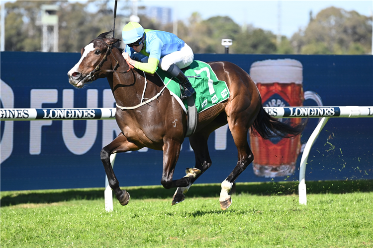 SHADES OF ROSE winning the Nswroa Trophy (Bm72) at Rosehill in Australia.
