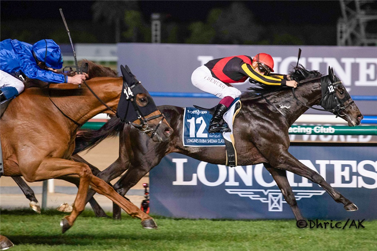 SHAHRYAR winning the Longines Dubai Sheema Classic