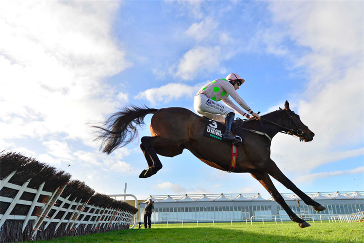 SHARJAH running in the Unibet Morgiana Hurdle (In Memory Of Michael Rafferty At AnaglogsDaughtr) (Grade 1)