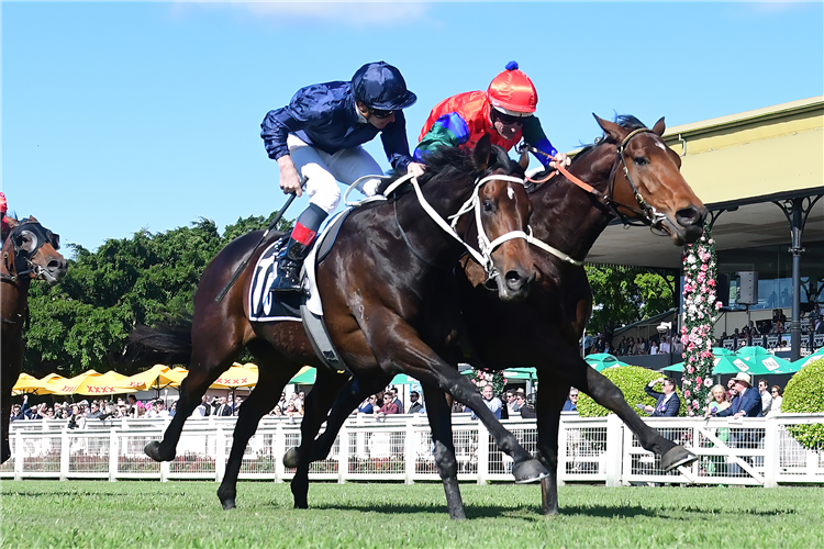 Sharp ‘N’ Smart (outer) just fails to head Political Debate at Eagle Farm