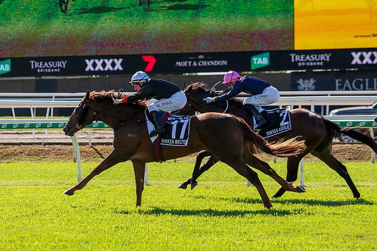 SHEEZA BELTER winning the XXXX Sires' Produce Stakes