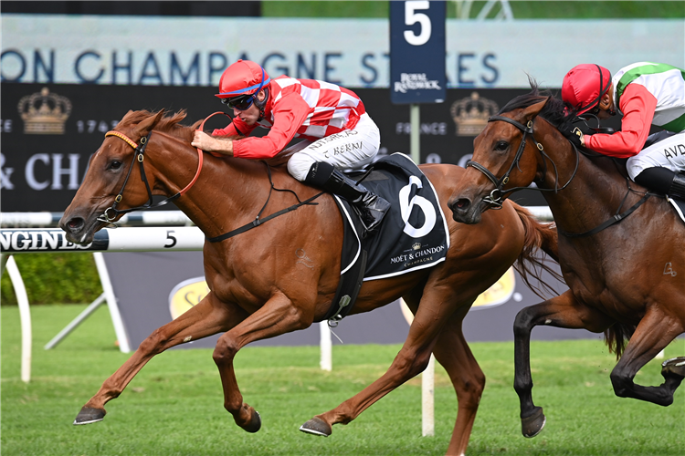 SHE'S EXTREME winning the Moet&Chandon Champagne Stakes at Randwick in Australia.
