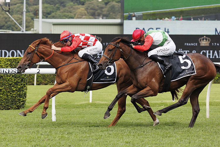 SHE'S EXTREME winning the Moet&Chandon Champagne Stakes