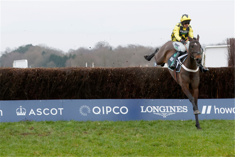 SHISHKIN winning the Clarence House Chase.