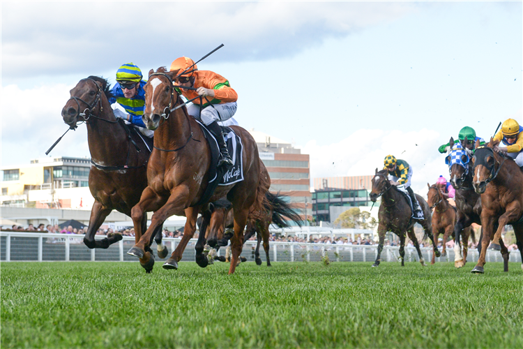 SHOOTING FOR GOLD winning the The McCafe Stakes at Caulfield in Australia.