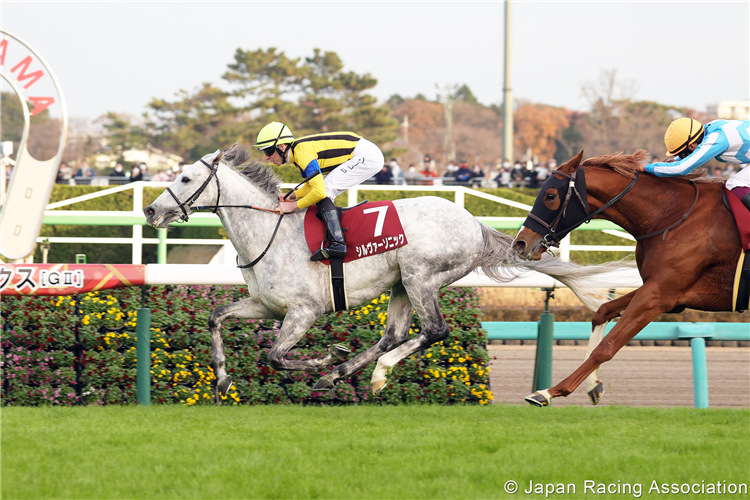 SILVER SONIC winning the Stayers Stakes at Nakayama in Japan.