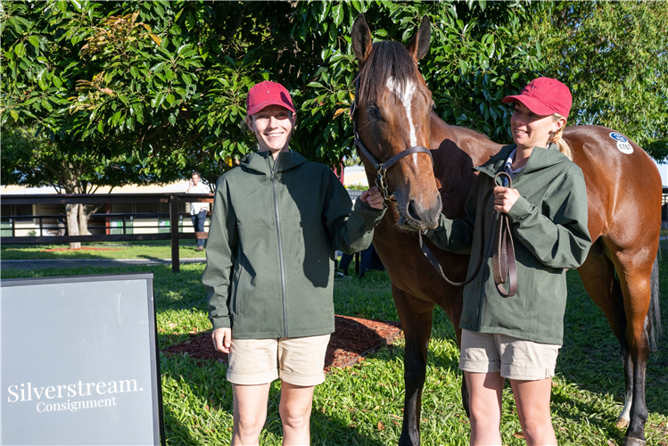 Silverstream staff with the Nomothaj colt who topped the National Sale.