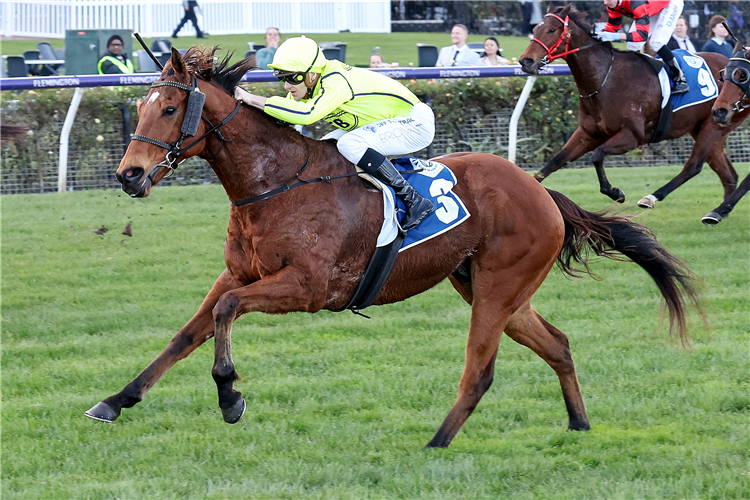 SIRIUS SUSPECT winning the Santa Ana Lane Final at Flemington in Australia.