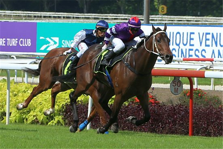 SKY EYE winning the EMPEROR MAX 2014 STAKES CLASS 3