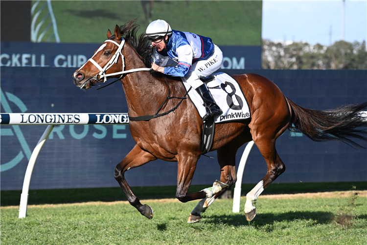 SKYMAN winning the Drinkwise W. J. McKell Cup at Rosehill in Australia.