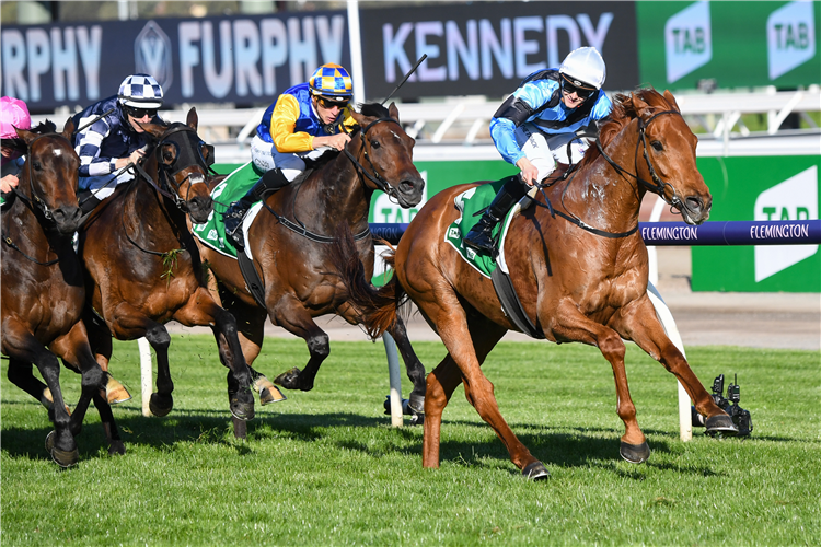 Smokin’ Romans Prevails In Turnbull Stakes | Racing and Sports