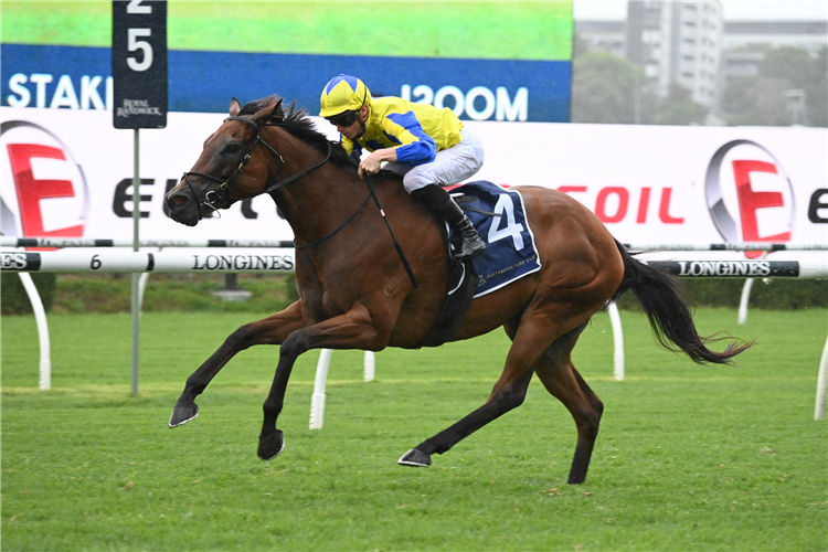 SNAPDANCER winning the Robrick Lodge Triscay Stakes at Randwick in Australia.