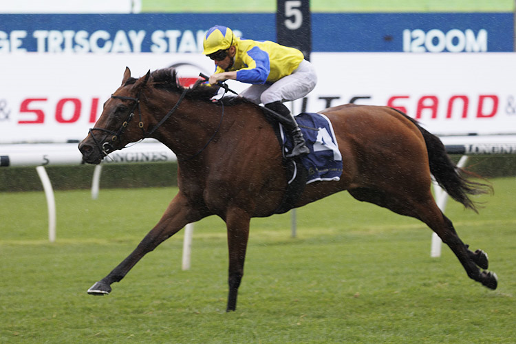 SNAPDANCER winning the Robrick Lodge Triscay Stakes