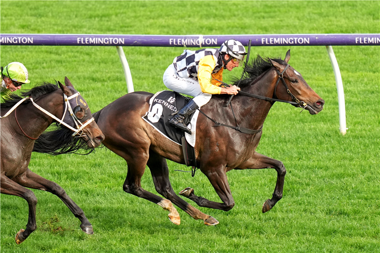 SO DAZZLING winning the Kennedy Oaks Preview at Flemington in Australia.
