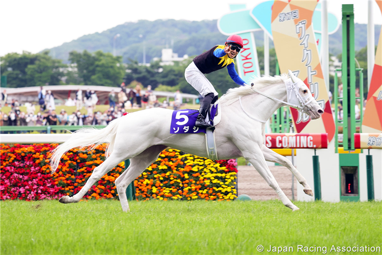 SODASHI winning the Victoria Mile at tokyo in Japan.