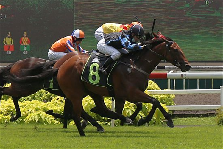 SONG OF NATURE winning the RESTRICTED MAIDEN