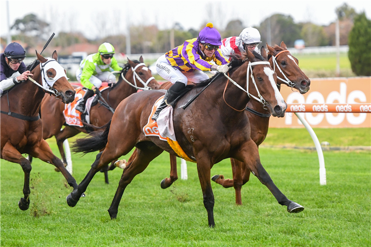 SOOBOOMA winning the Darren Gauci Hcp at Caulfield in Australia.