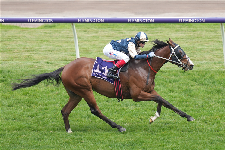 SOULCOMBE winning the Queen's Cup at Flemington in Australia.