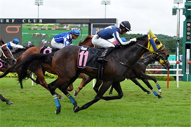 STAR JACK winning the CLASS 4