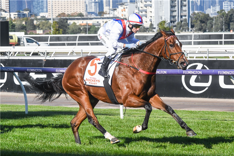 STAR PATROL winning the Ecycle Solutions Trophy at Flemington in Australia.