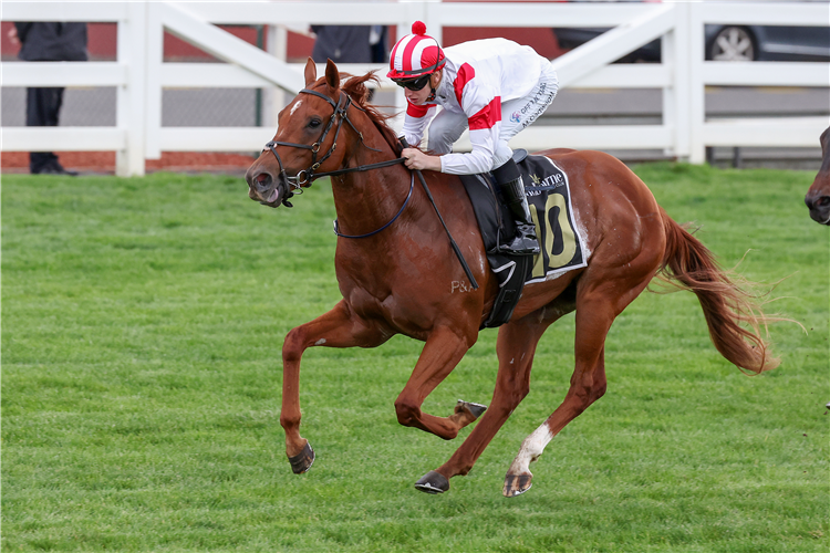 STARRY LEGEND winning the 'boxing Challenge' 14/5 (Bm84) at Sandown in Australia.