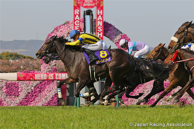 STARS ON EARTH (blue cap) winning the Oka Sho at Hanshin in Japan.