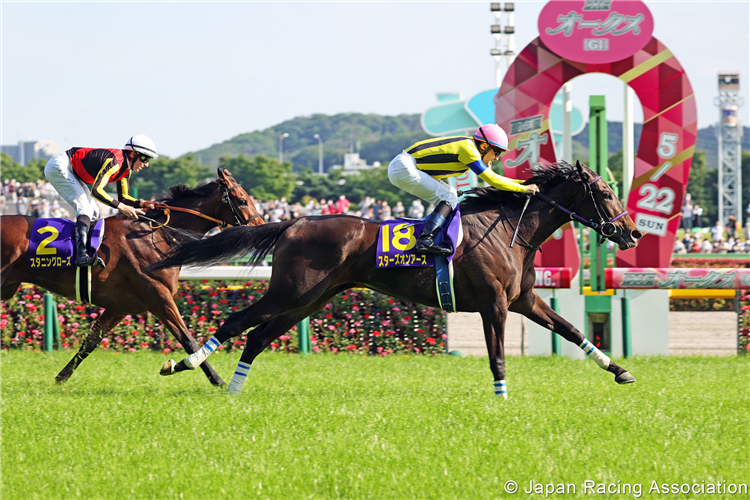 STARS ON EARTH winning the Yushun Himba (Japanese Oaks) at Tokyo in Japan.