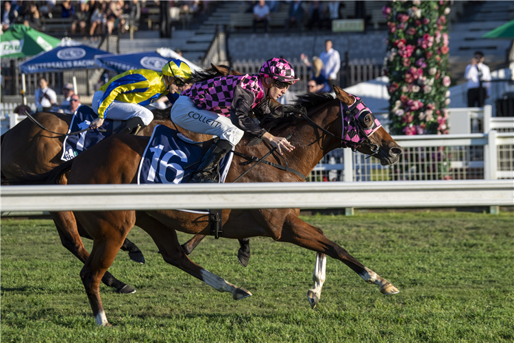 Startantes winning the 2022 Tattersall’s Tiara at Eagle Farm in Australia.