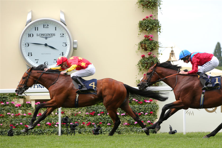 STATE OF REST winning the Prince Of Wales's Stakes at Royal Ascot in England.