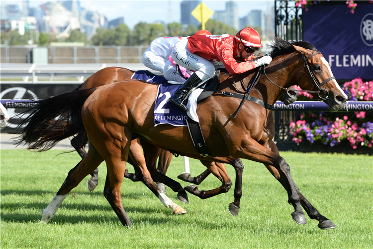 STAY GOLD winning the Resimax Jock. Chall. 21/1-Bm78 at Flemington in Australia.