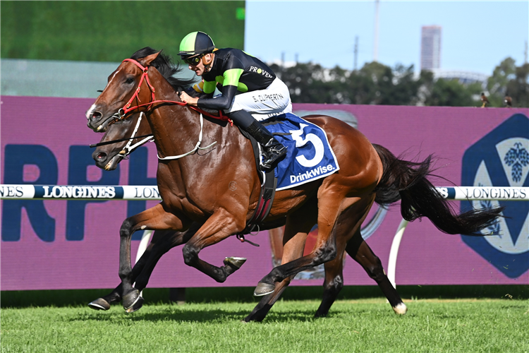 STOCKMAN winning the Furphy Sky High Stakes at Rosehill in Australia.