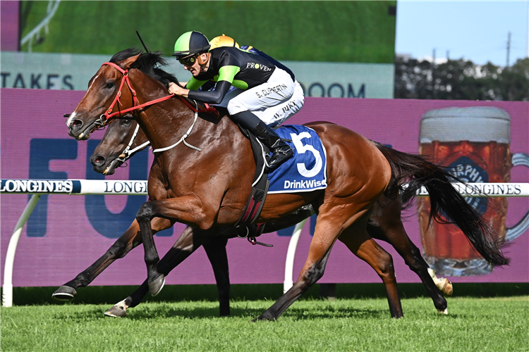 STOCKMAN winning the Furphy Sky High Stakes at Rosehill in Australia.