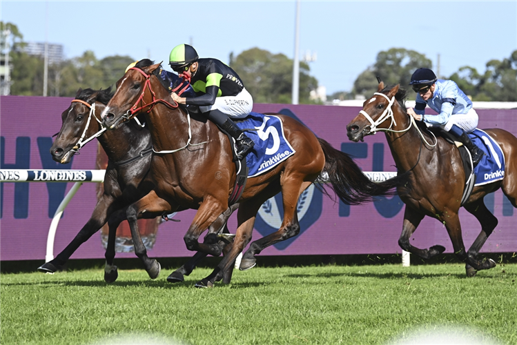STOCKMAN winning the Furphy Sky High Stakes
