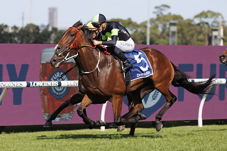 STOCKMAN winning the Furphy Sky High Stakes