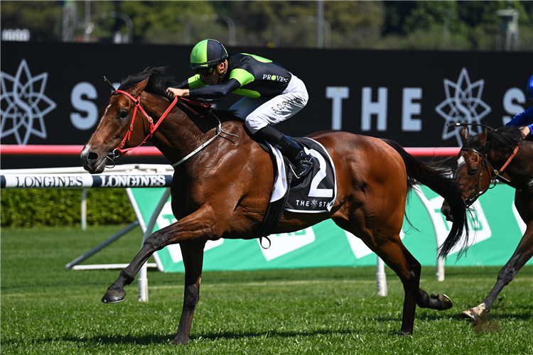 Stockman Wins St Leger Stakes: Post Race Trainer And Jockey Quotes ...