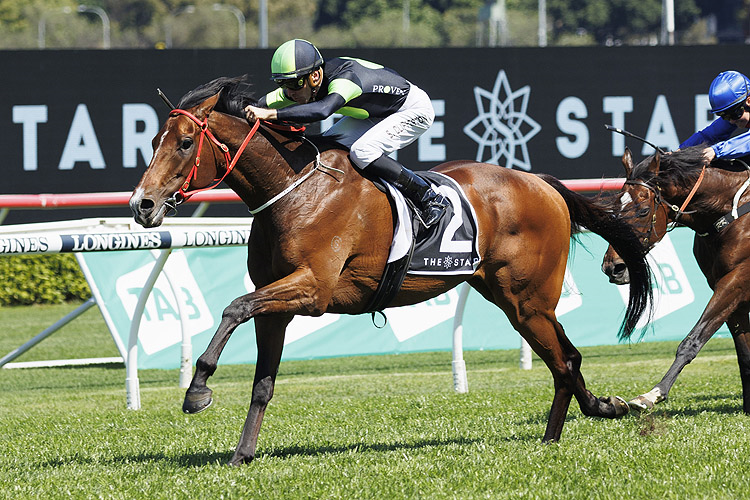 2023 Atc St Leger Stakes: Race History  Racing and Sports