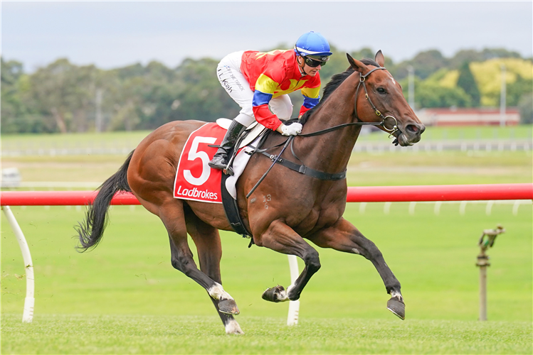 STRETTO winning the Ladbrokes Blended Bets Handicap at Ladbrokes Park Hillside in Springvale, Australia.