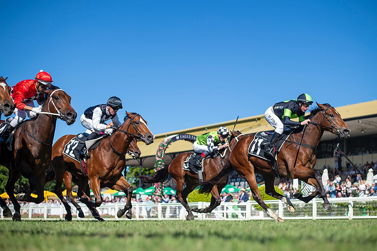 STROLL winning the City Property Serv.Bill Carter