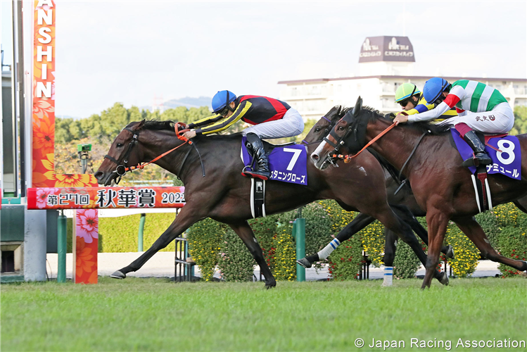 STUNNING ROSE winning the Shuka Sho at Hanshin in Japan.