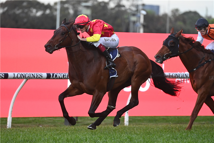SURF DANCER winning the Shannon Stakes at Rosehill in Australia.