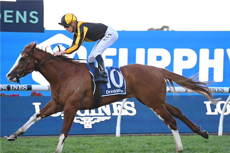 SWEET RIDE winning the Furphy San Domenico Stakes at Rosehill in Australia.