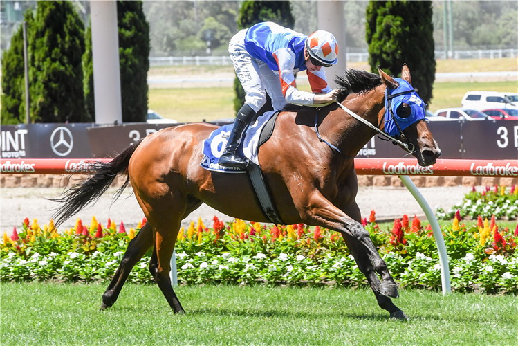 SWELTER MAGIC winning the Mia Kleer Hand Sanitiser Hcp at Moonee Valley in Australia.