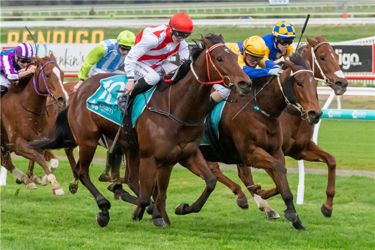 SWIFT HIT winning the Bet365 Odds Protector (Bm64) at Bendigo in Australia.