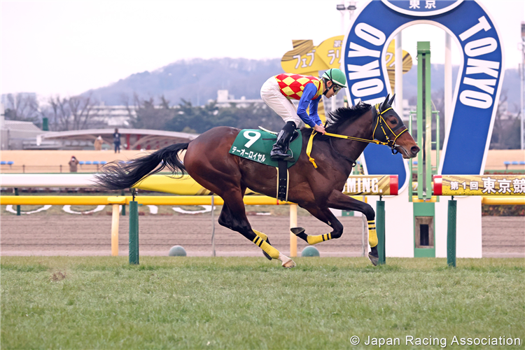T O ROYAL winning the Diamond Stakes at Tokyo in Japan.
